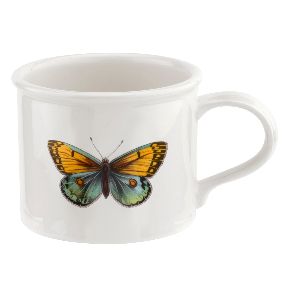 Botanic Garden Harmony Papilio Amber Breakfast Cup and Saucer image number null